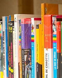 livres sur une étagère